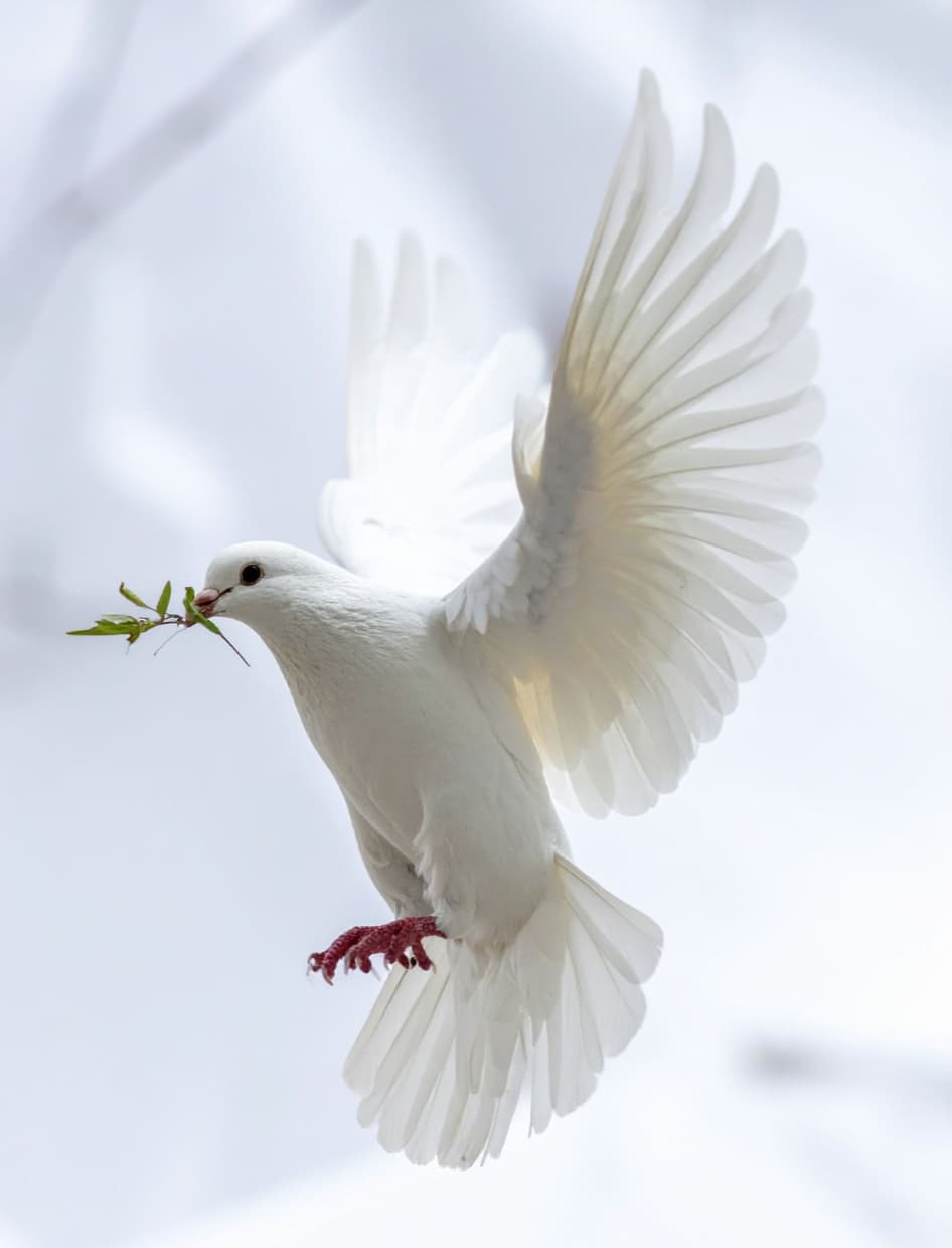 Kaffebord med tårta och ljus